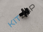 ���� �����������